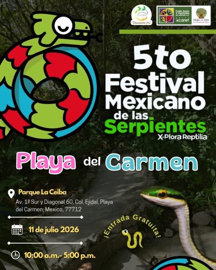 5th annual snake festival in playa del carmen