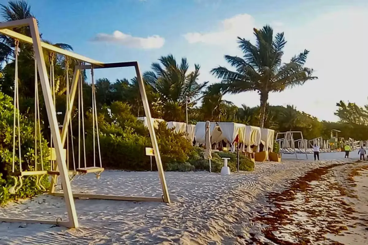 Environmental activists at a press conference in Playa del Carmen denouncing alleged damage to mangroves by Paradisus Meliá hotel