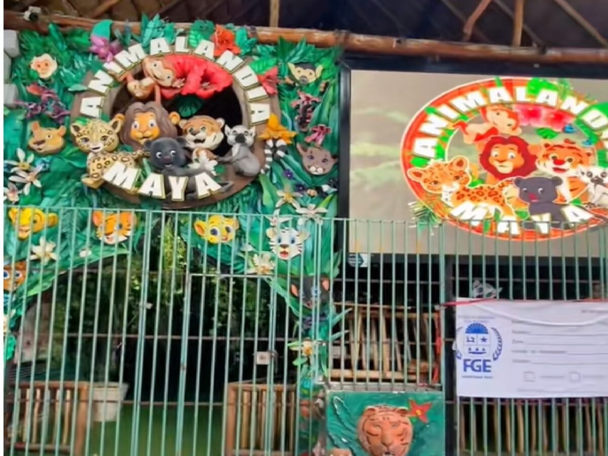 Félix Sandoval Jaime, owner of Animalandia Maya, was arrested and is seeking release via amparo.