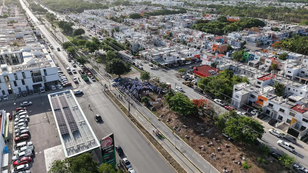Volunteers planting native trees in Cancún as part of the Arboliza Cancún program