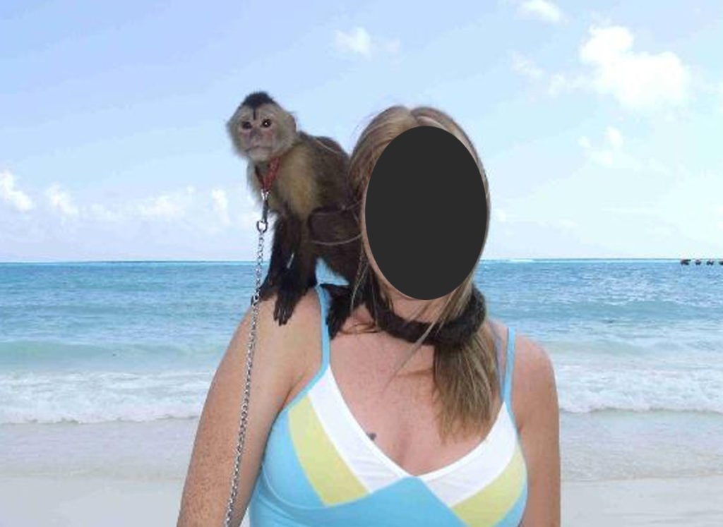 A woman with long hair wearing a blue and white top stands at the beach with a monkey on her shoulder. The ocean is visible in the background under a bright sky.$# CAPTION