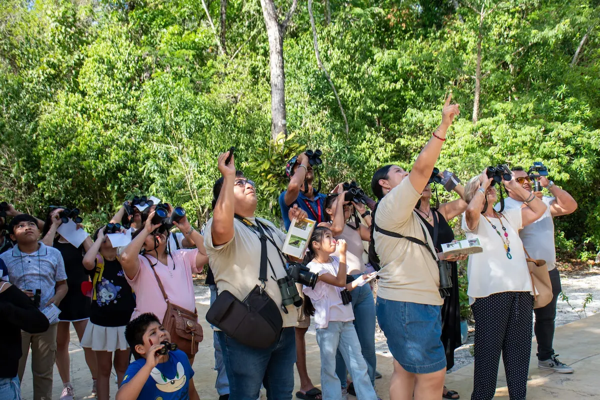 Participants using binoculars to observe birds at Parque Urbano Corazón in Cozumel