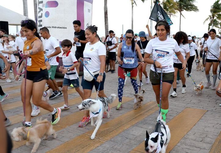Participants running with dogs along the Tajamar boardwalk in Cancun during the Corriendo por el Bienestar Animal event