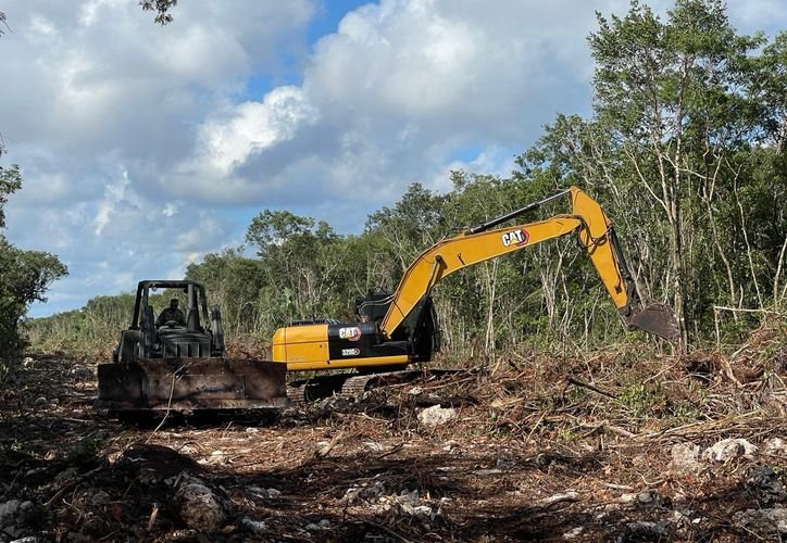 Deforested area near Cobá-Tulum highway for the Camino Jacinto Pat project