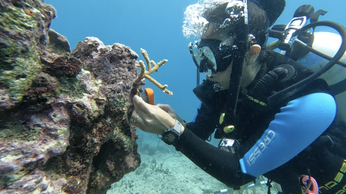 Children learning about coral reefs during a workshop in Playa del Carmen