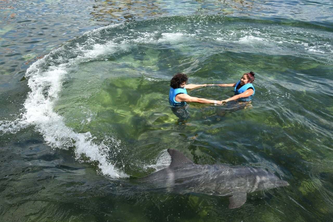 Tourists swimming with dolphins at Delphinus park in the Mexican Caribbean