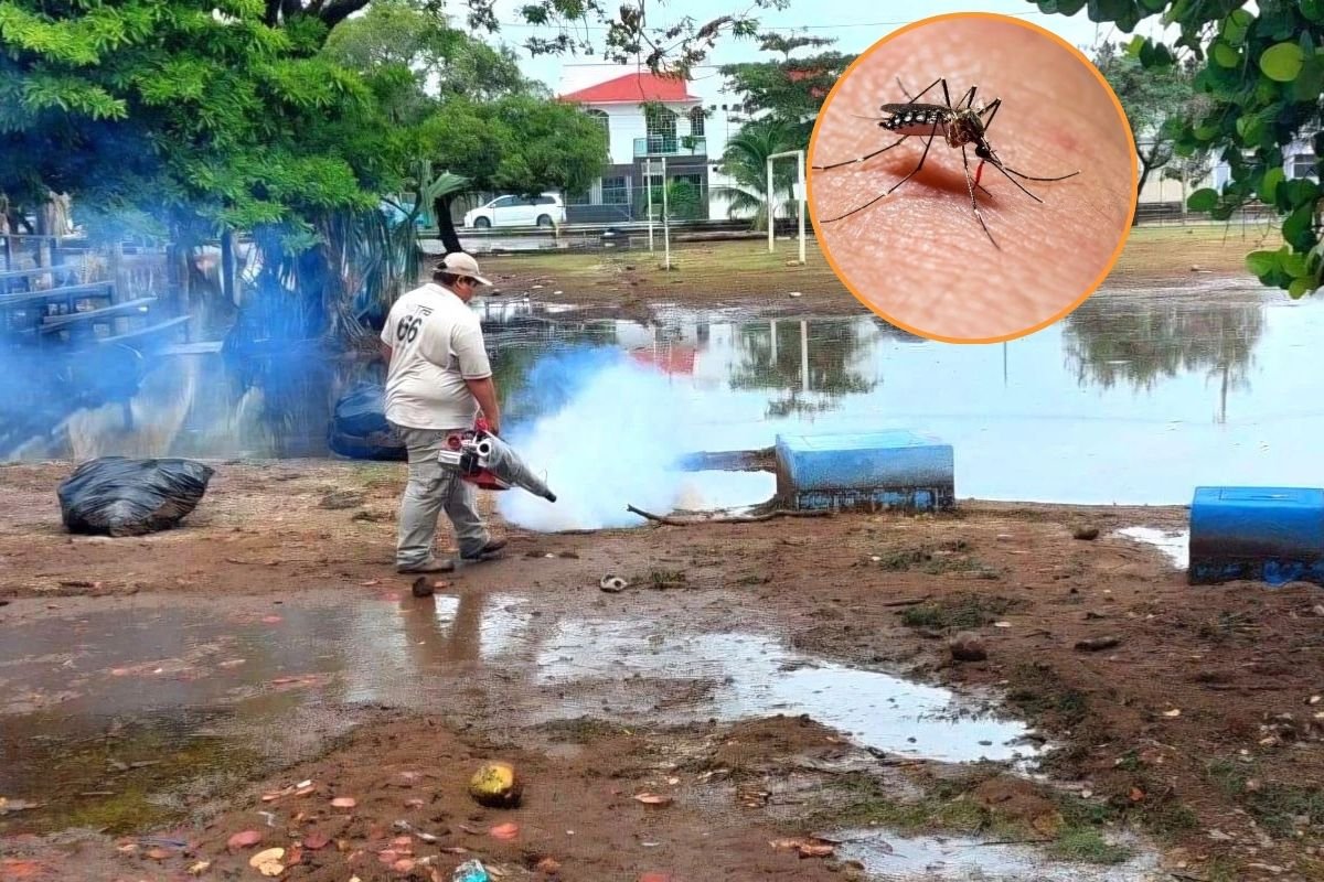 Health workers fumigating a residential area in Quintana Roo to control dengue mosquitoes