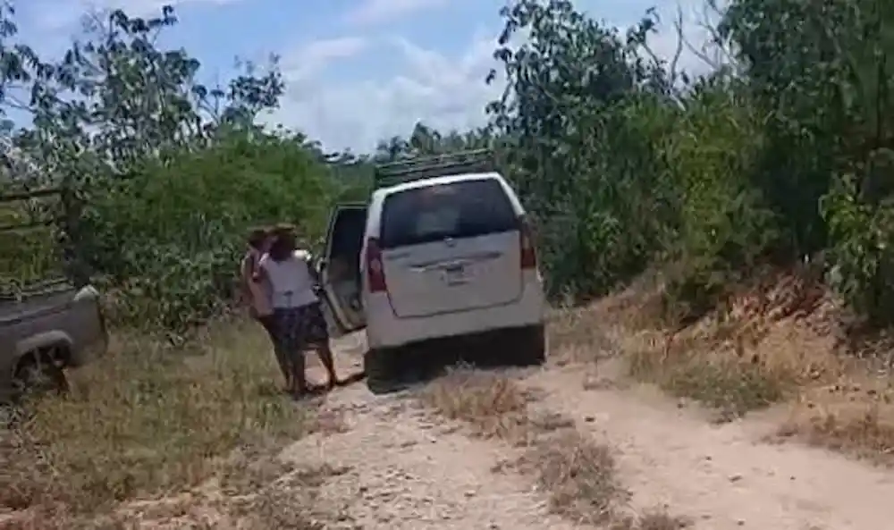 A dog tied to a fence outside the Alma Animal Tulum rescue facility