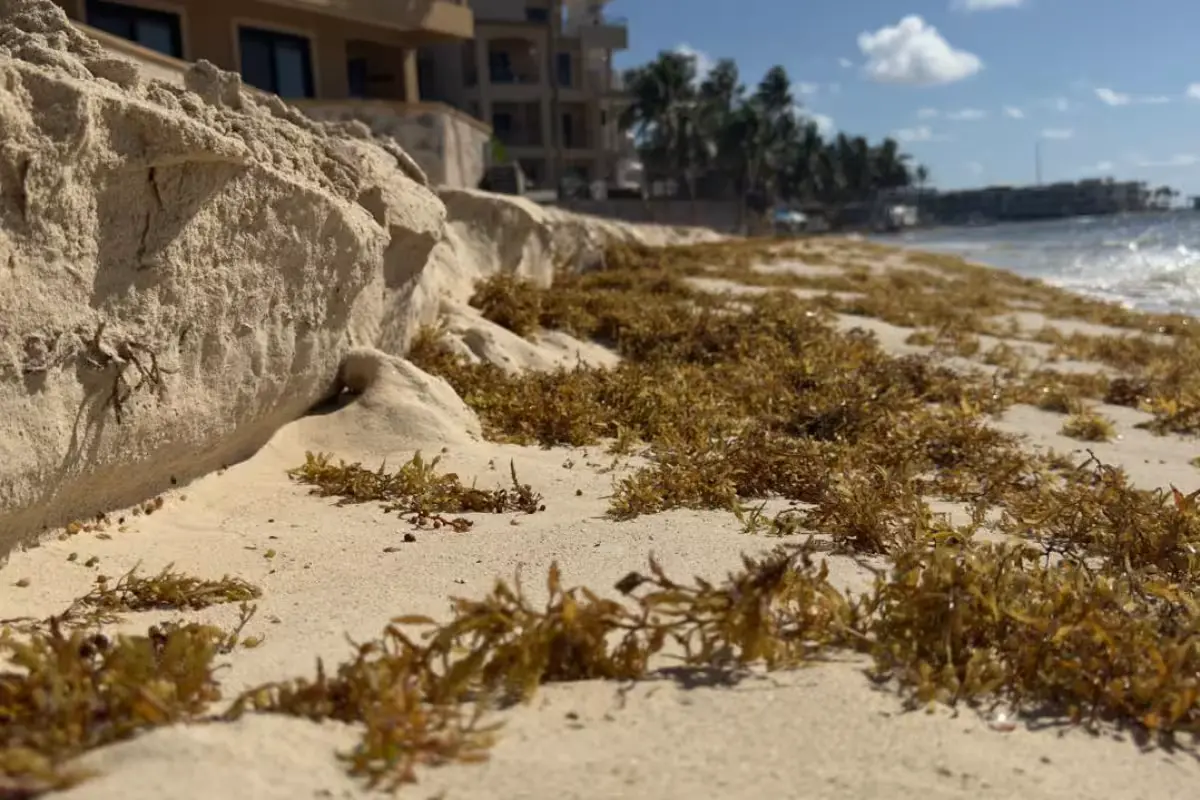 Eroded beach with no sand in Playa del Carmen, Quintana Roo
