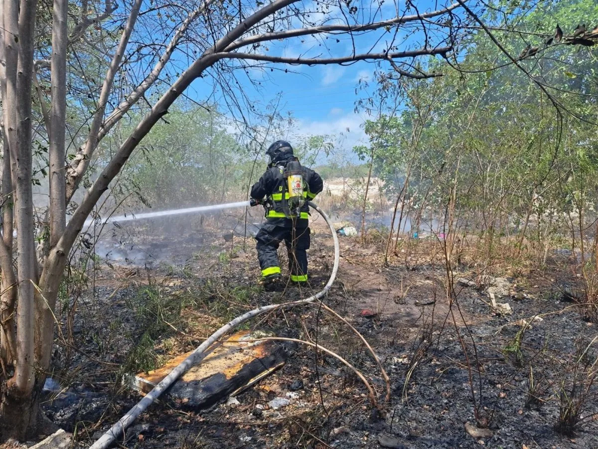 Firefighters spray water on a brush fire in a green area of Playa del Carmen
