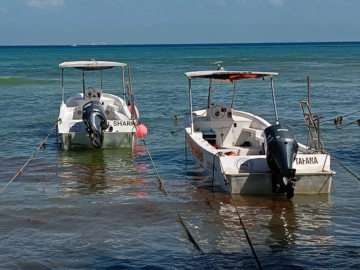 Fishermen in Playa del Carmen standing by their boats, discussing sargasso collection