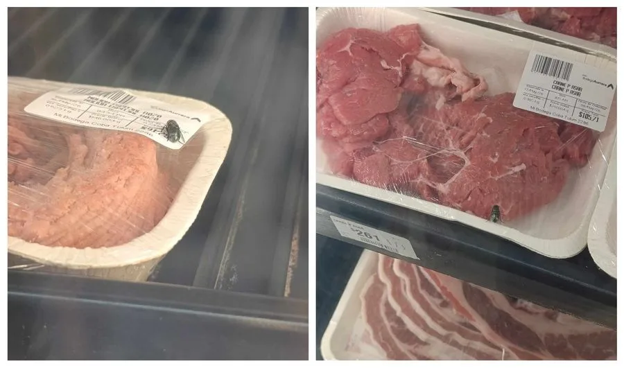 Photograph showing flies on packaged meat in a supermarket refrigerated display case in Tulum