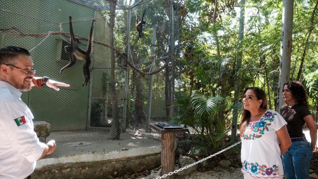 Governor Mara Lezama inspecting the health of six rescued big cats at Aktun Chen Park in Akumal