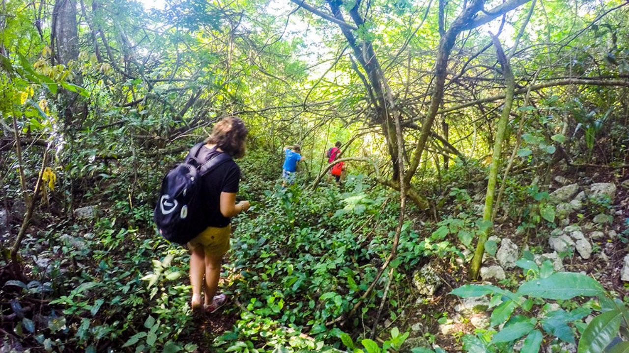 Hikers walking along a forest trail in Quintana Roo, Mexico