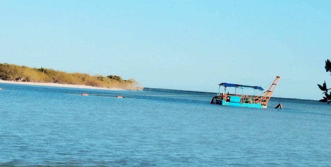 Heavy machinery operating near mangroves on Holbox Island