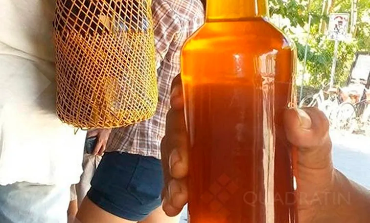 A traditional jobon hive made from a hollowed log, used to produce melipona honey in Quintana Roo