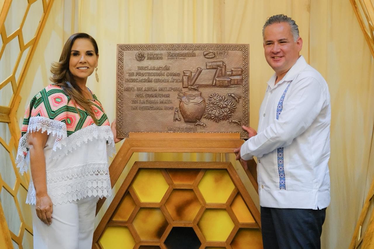 miel de abeja melipona zona maya Quintana Roo