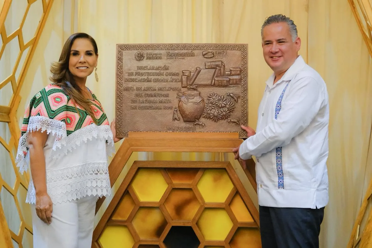 miel de abeja melipona zona maya Quintana Roo