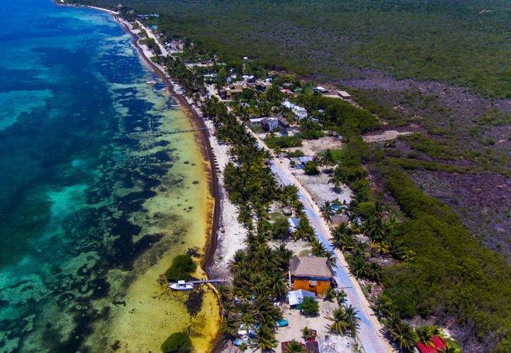 A pile of plastic bottles and other debris mixed with sargasso seaweed on a beach in Mahahual, Quintana Roo.