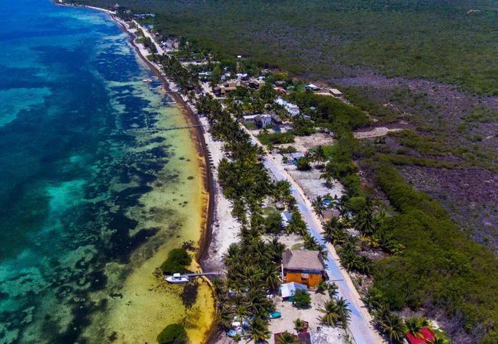 A pile of plastic bottles and other debris mixed with sargasso seaweed on a beach in Mahahual, Quintana Roo.