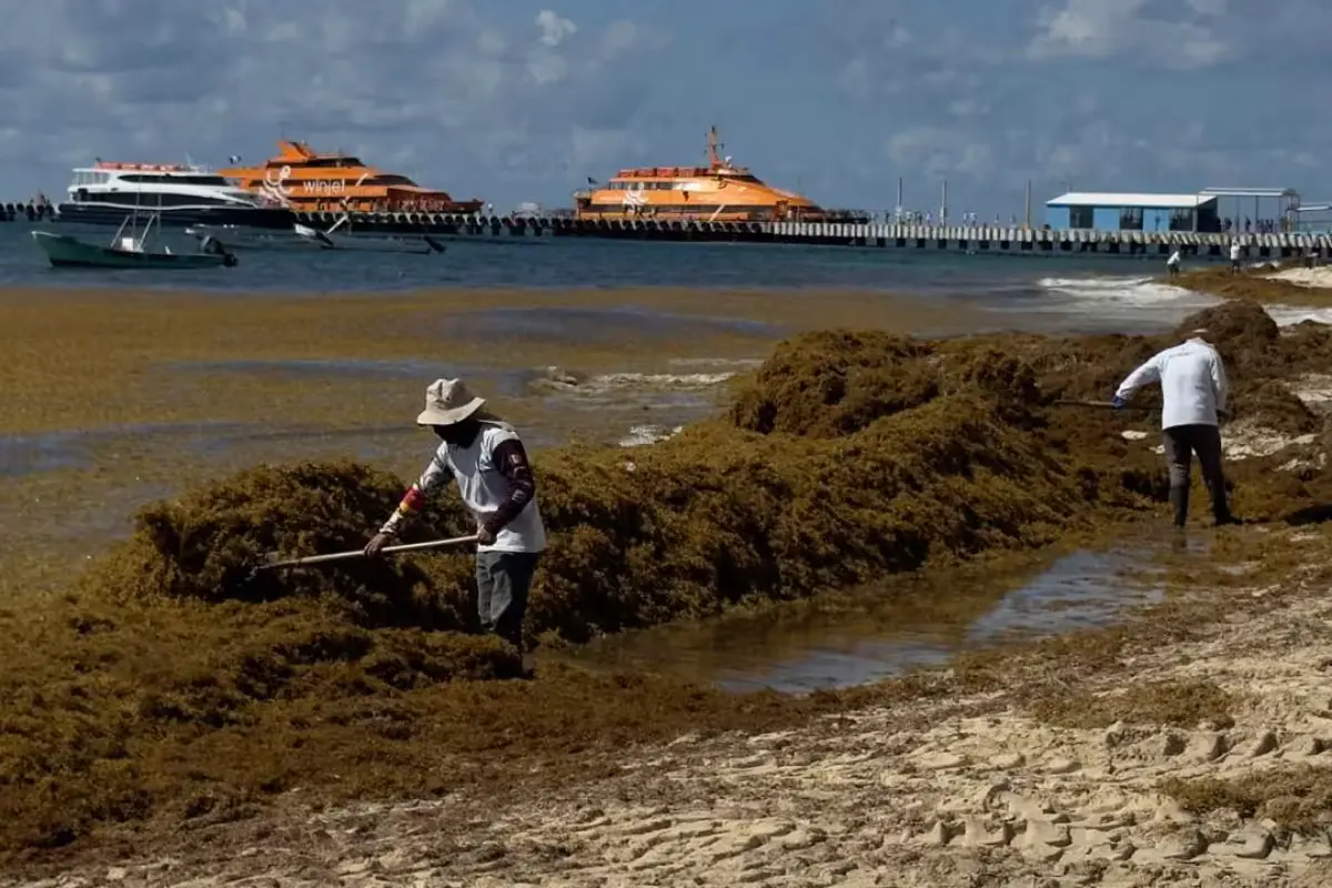 Activists attribute the cancellation of Blue Flag and Platino certifications to lack of investment and maintenance of the coastline.