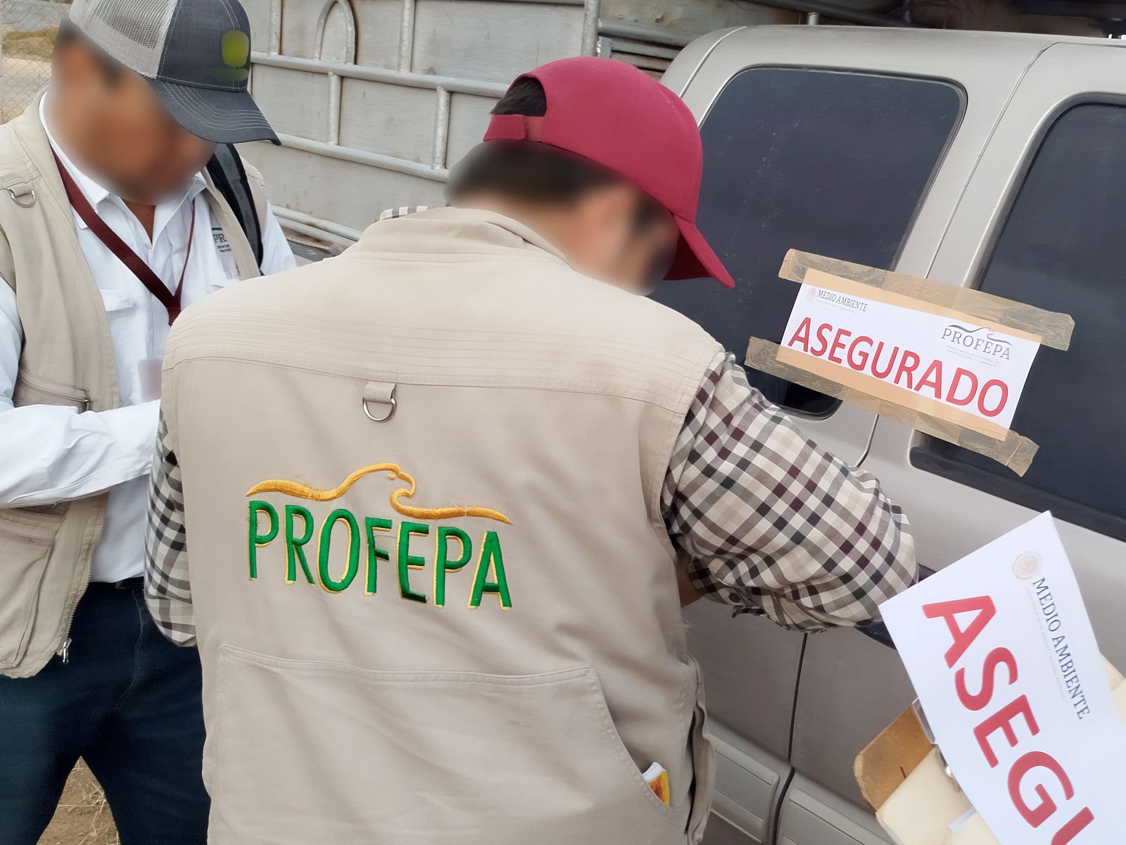 Profepa inspectors checking crocodile and shark skin products at Cancun International Airport
