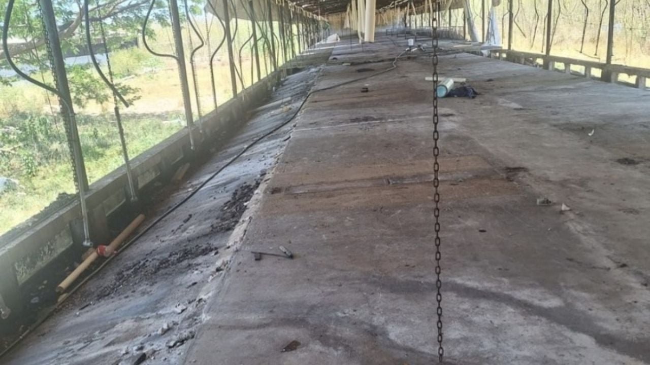 Profepa officials inspect the Granja Santa Maria pig farm in Yucatan, Mexico