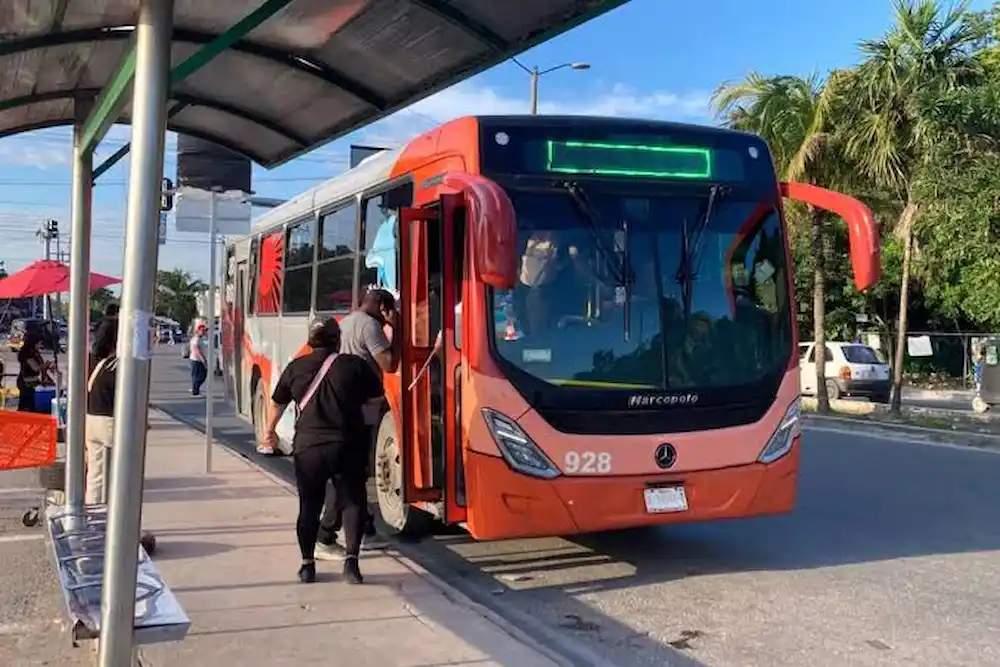 Public buses on a Cancún avenue as part of the MOBI mobility project