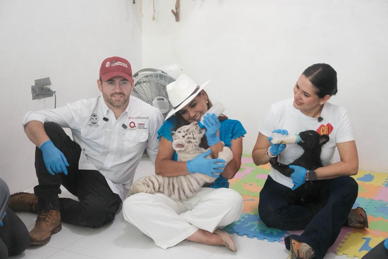 Governor Mara Lezama and Mayor Estefania Mercado visit rescued felines at Aktun Chen Park