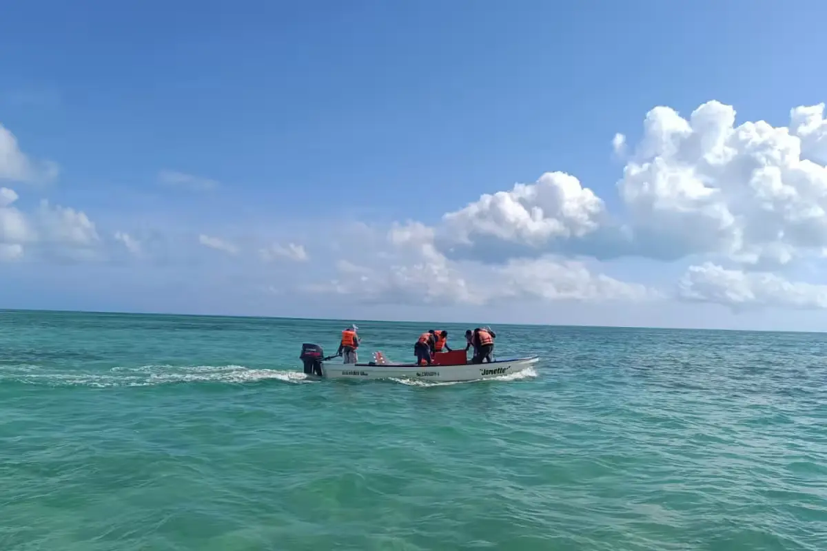 More than 20 boats participate in the search operation off the coast of Holbox island