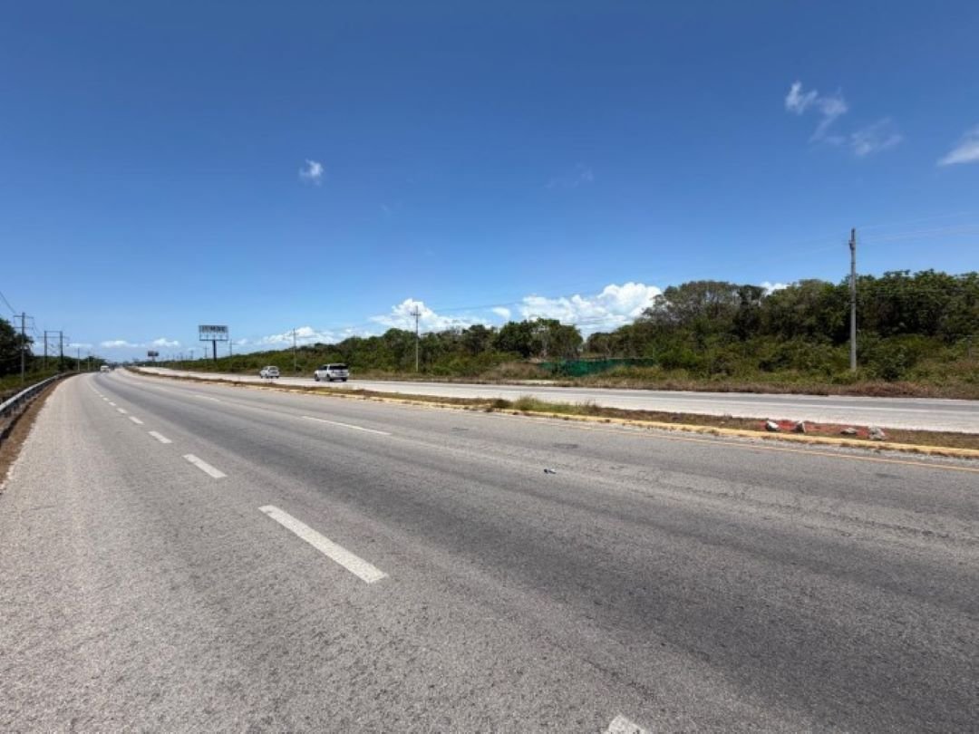 Heavy machinery clearing jungle for the Tulum bypass road construction