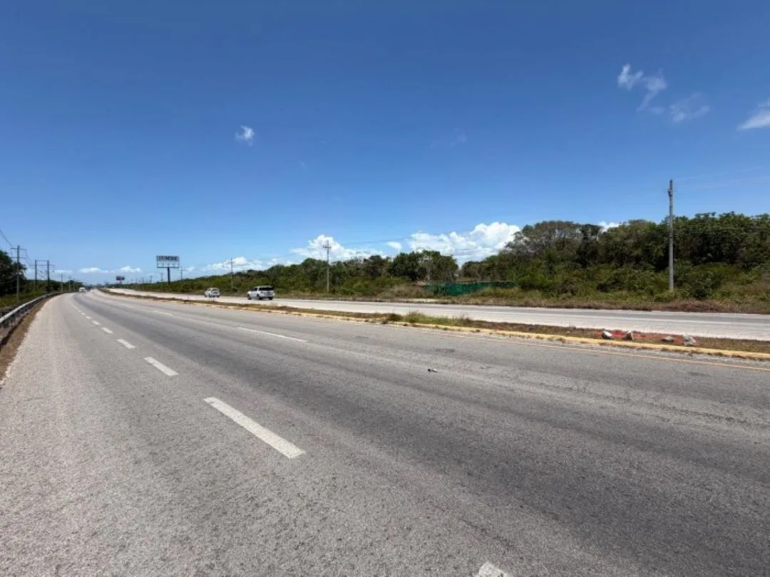 Heavy machinery clearing jungle for the Tulum bypass road construction
