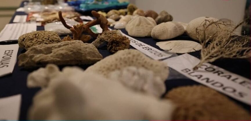 Exhibition at the Cultural Center and Museum of Puerto Morelos celebrating 50 years of UASA-UNAM reef research