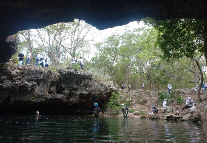 Volunteers collect trash from a cenote in Cancún during a cleanup brigade by Cenotes Urbanos association.