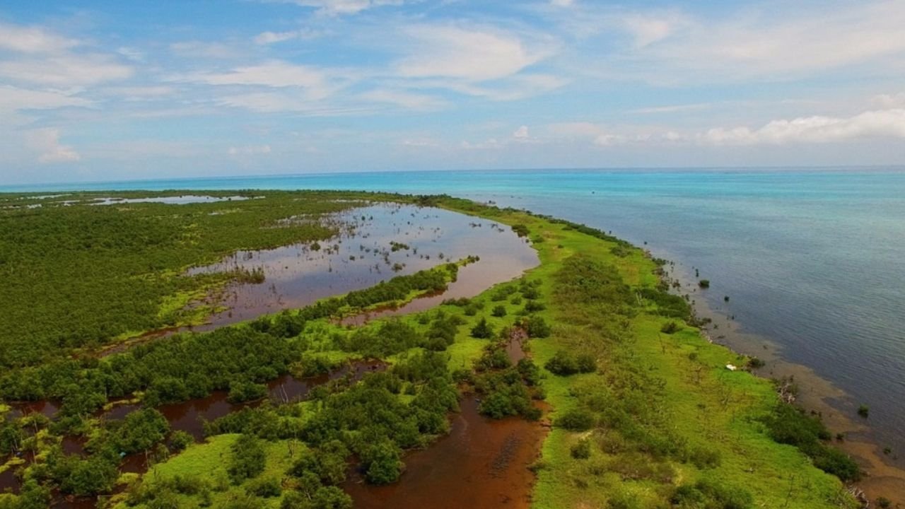 Aerial view of a coral reef along the coast of Quintana Roo, Mexico