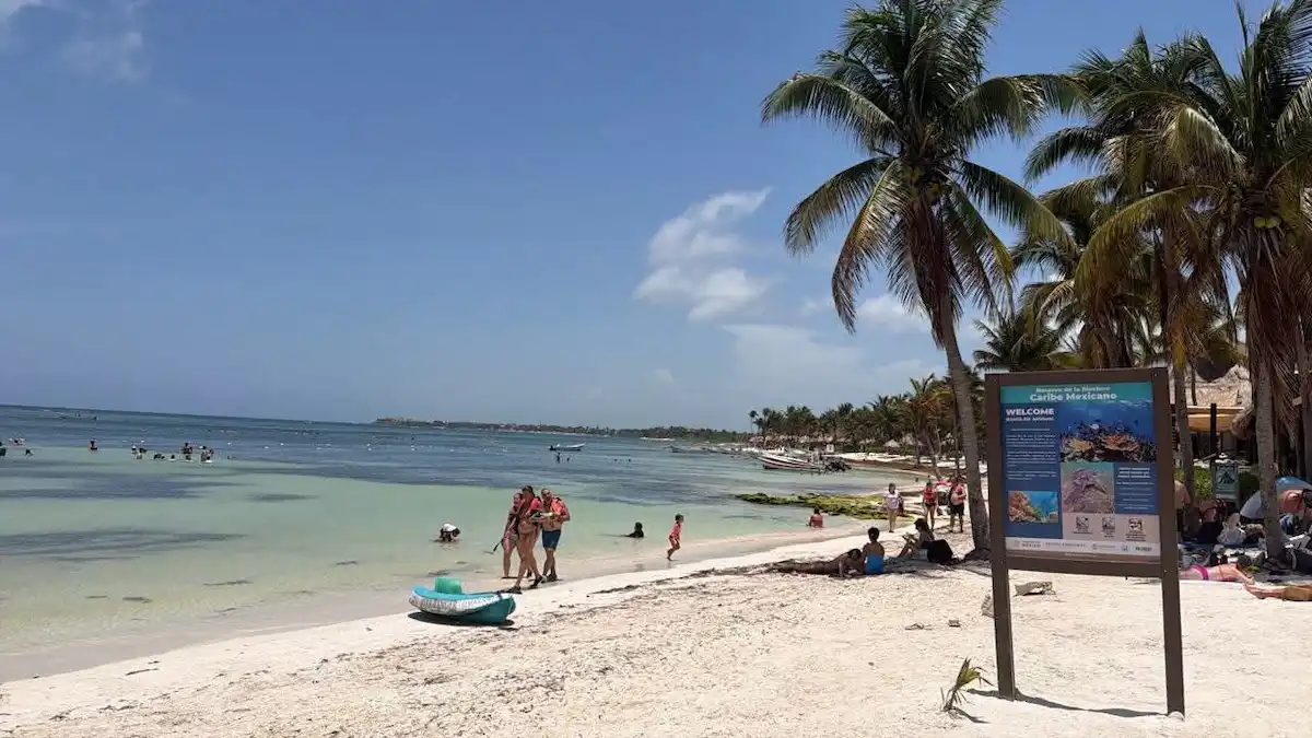 Crystal clear waters and white sand at Akumal Bay beach with no sargassum visible