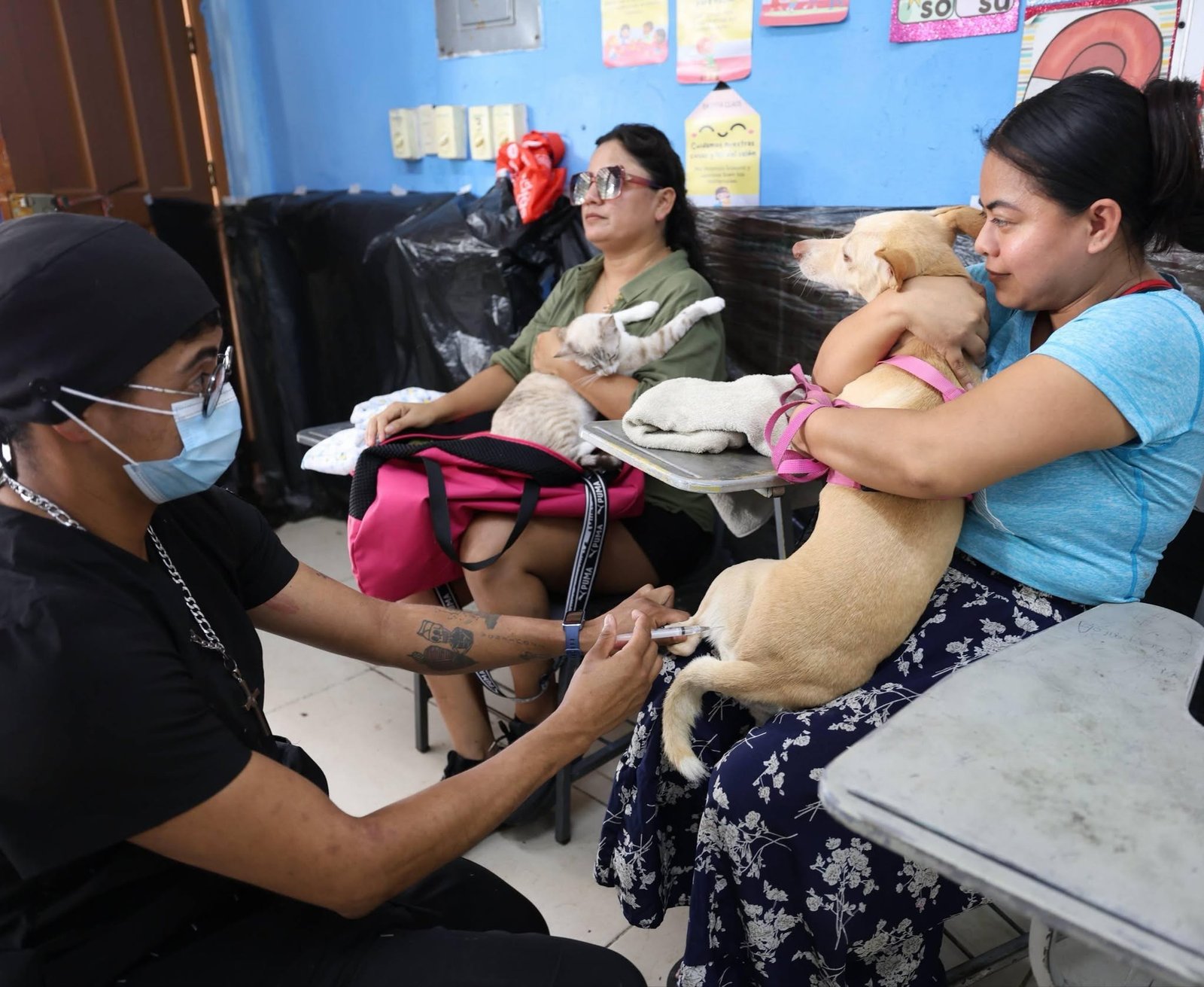Cancun Mayor Ana Paty Peralta supervises a free pet sterilization clinic at a school in Supermanzana 252.