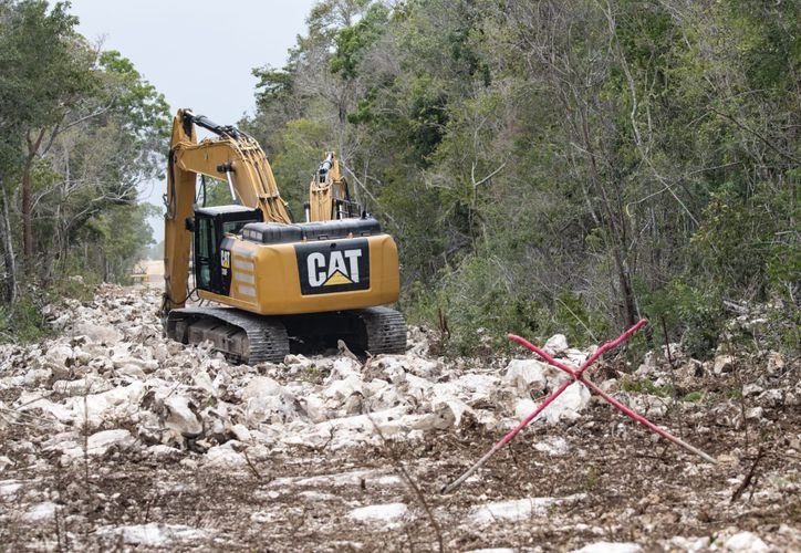 Heavy machinery clearing vegetation near the Sac Actún cave system in Quintana Roo