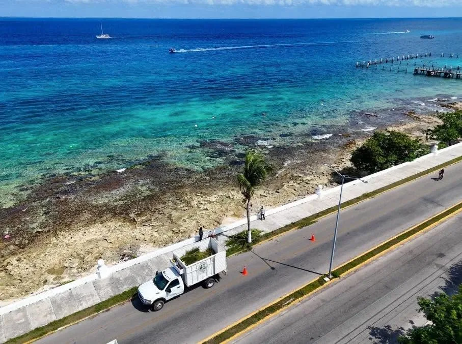 Protesters holding signs in Cozumel against Royal Caribbean mangrove destruction