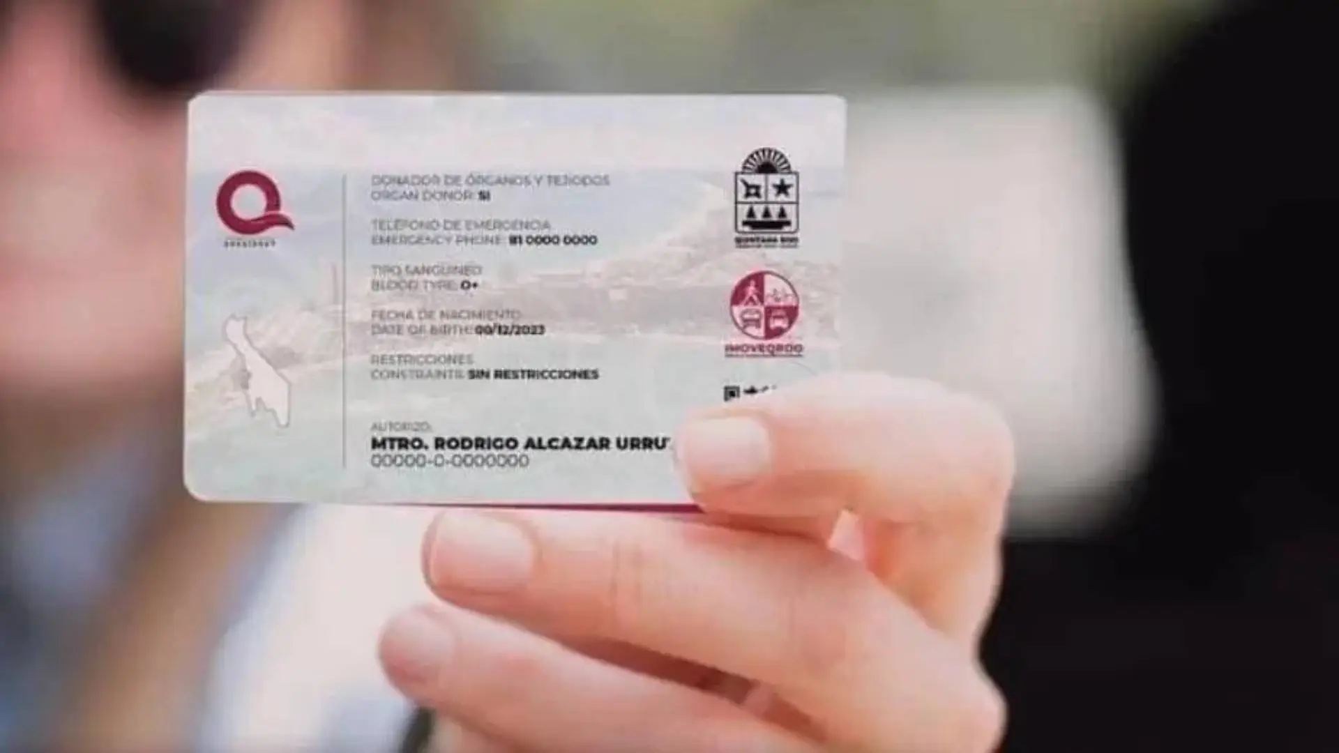 Driver's licenses from Quintana Roo displayed on a table