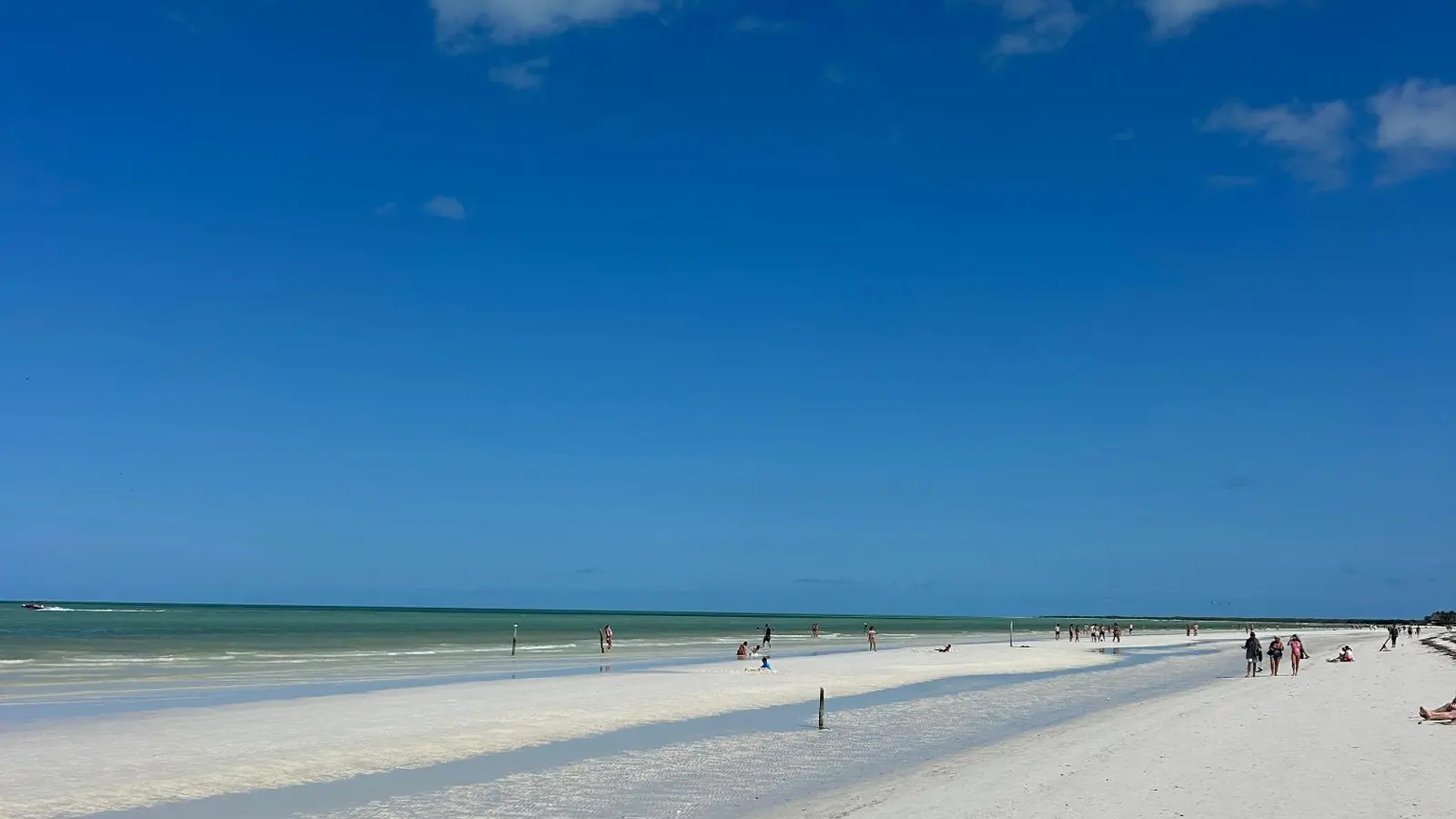 Panoramic view of crystal-clear Holbox beaches completely free of sargassum