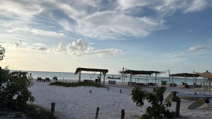Aerial view of Holbox island beach with turquoise water and palm trees