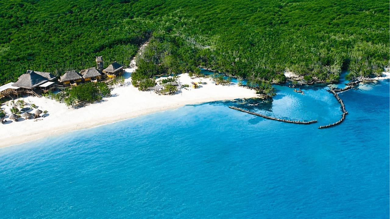 Aerial view of Holbox beach showing the coastline and vegetation