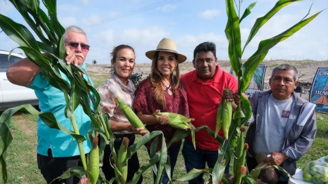 Sacks of improved corn seed being delivered to farmers in Quintana Roo