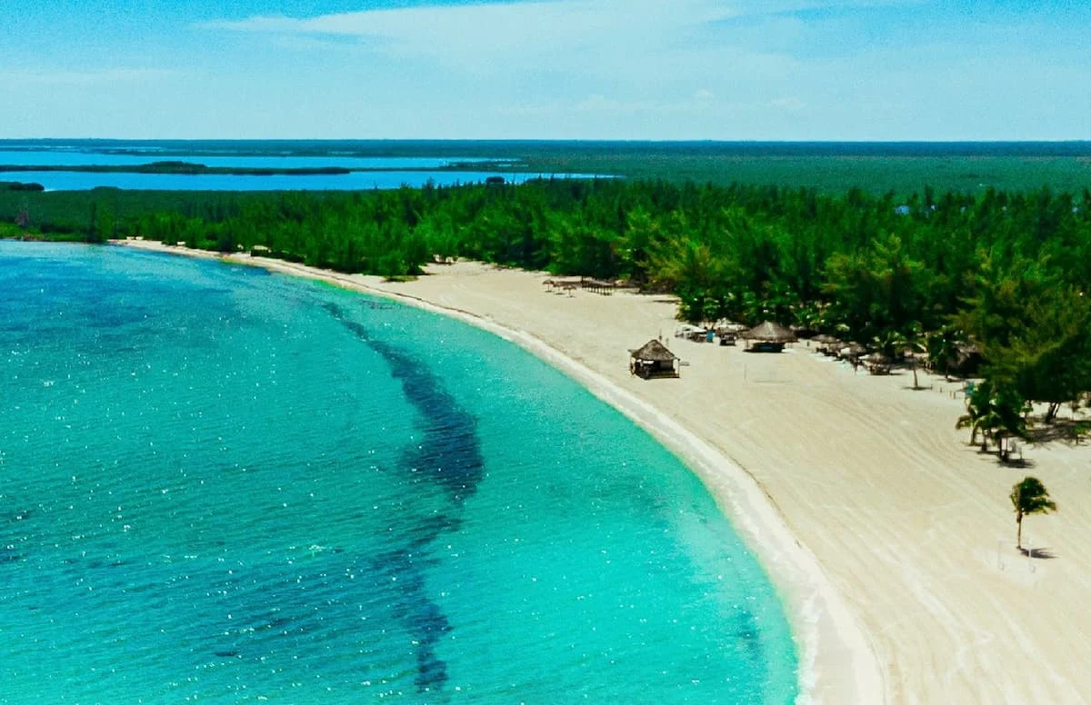 Satellite image of Laguna Ciega in Cozumel showing discolored water and degraded mangroves