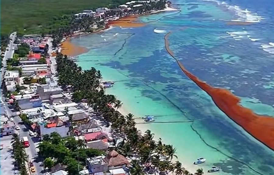 Aerial view of Mahahual beach and coastline in Costa Maya, Quintana Roo