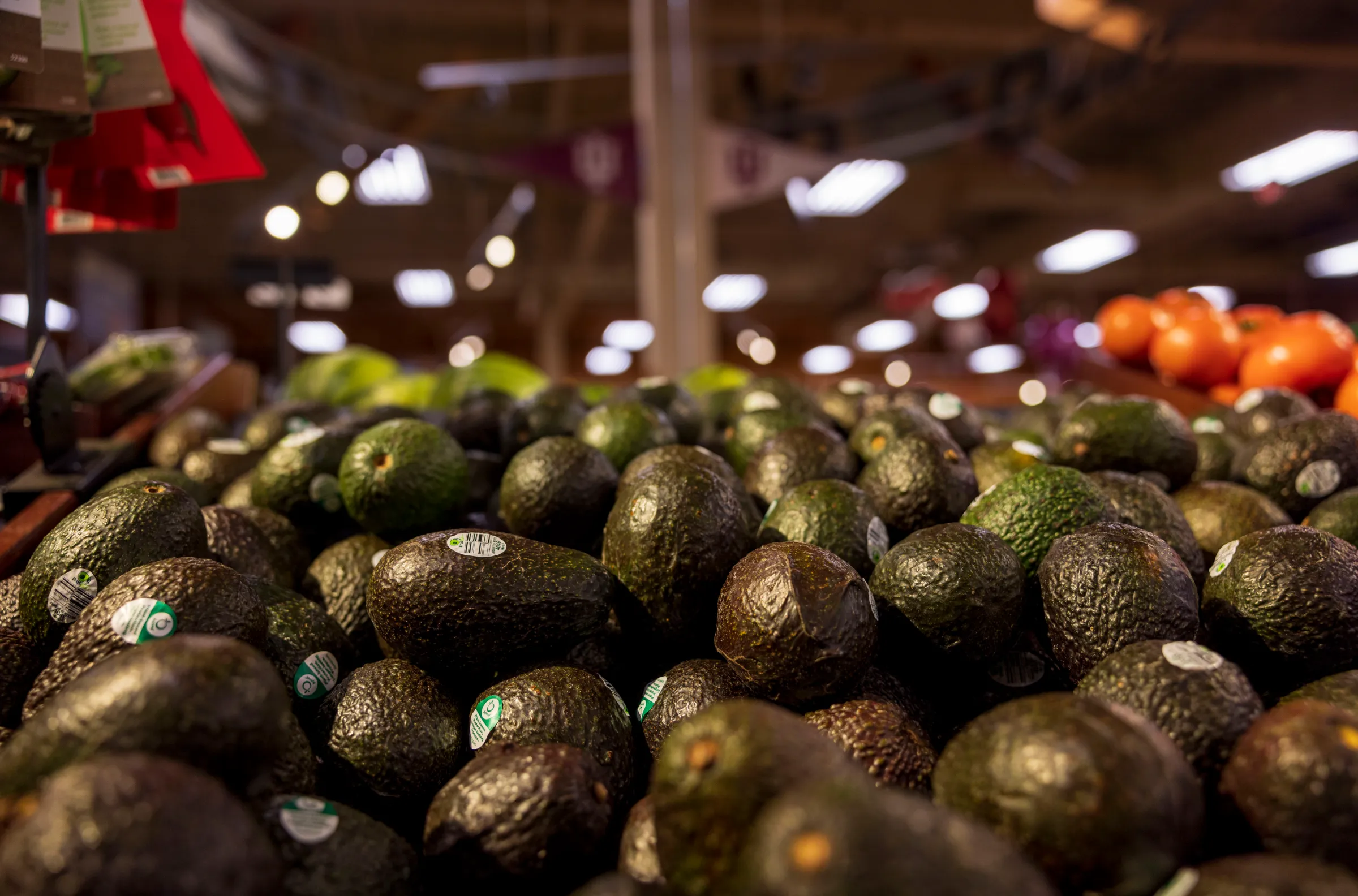 produce imports to the US in jeopardy