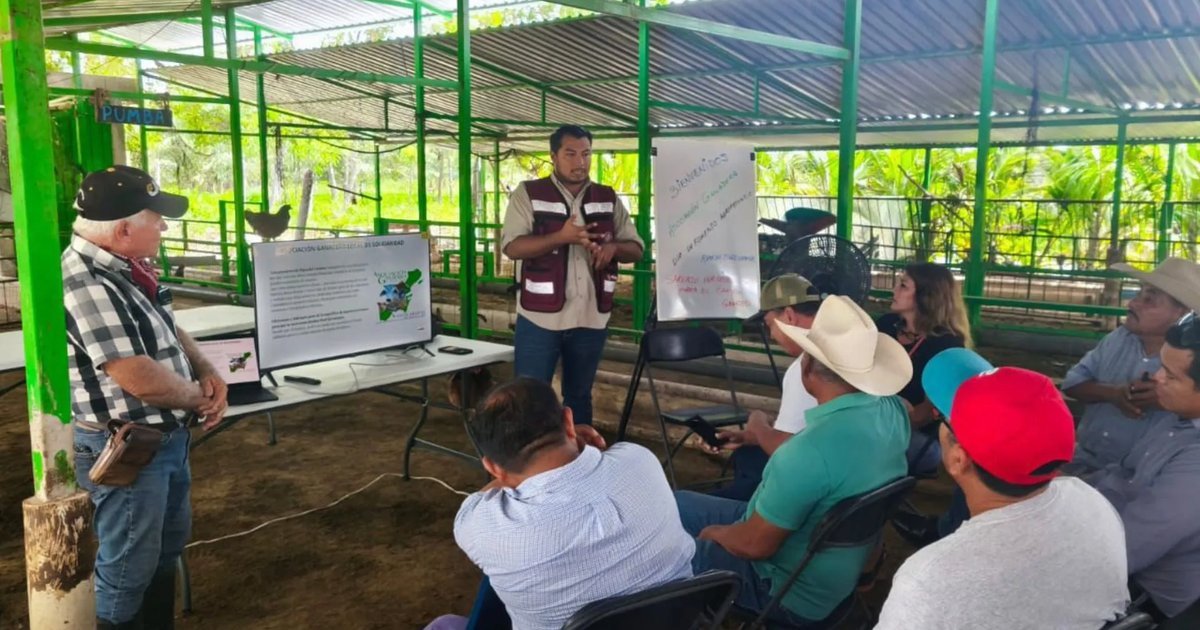 Ranchers and officials gather at Rancho Tigre Grande to discuss using sargasso as a soil improver and feed supplement.