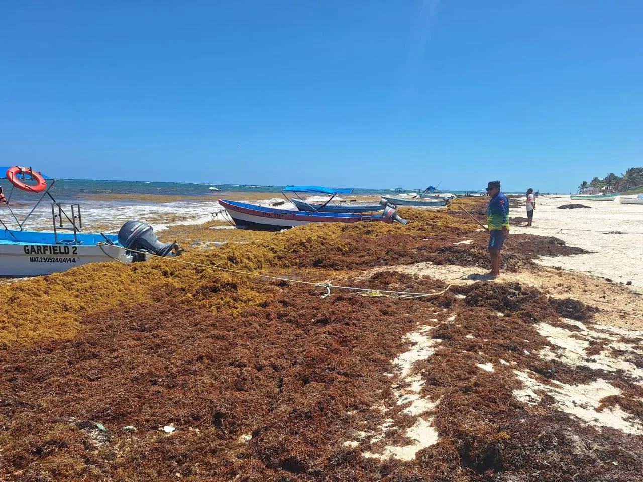 Workers managing sargassum at a disposal site in Tulum, Quintana Roo
