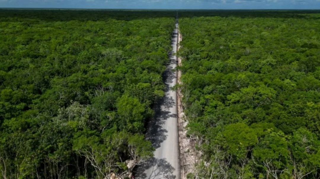 Construction of a concrete road through the Sian Ka'an Biosphere Reserve in Quintana Roo, Mexico